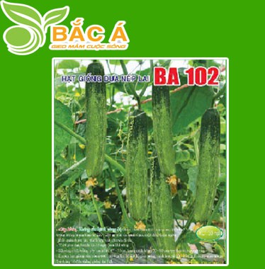 Hạt Giống Dưa Nếp Lai BA 102