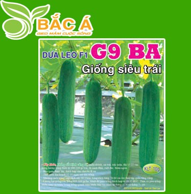 Hạt Giống Dưa Leo Diêu Trái G9 BA
