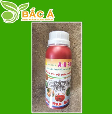 Siêu Da Rễ Cự Mạnh