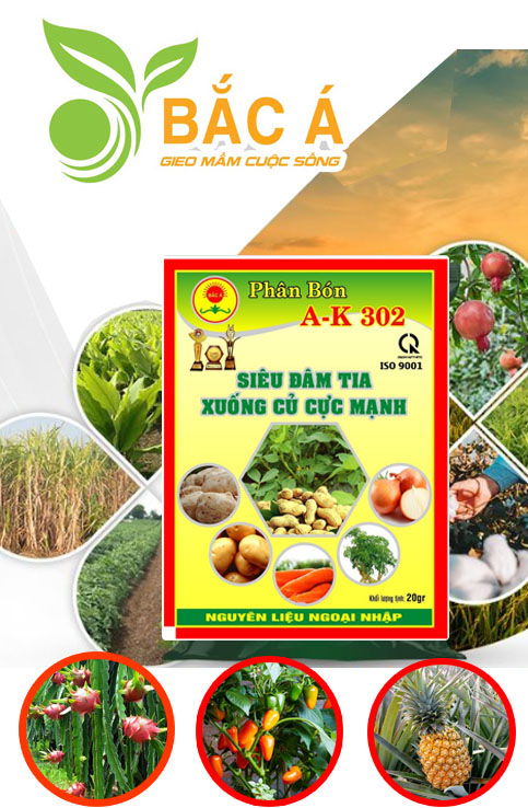 CÁC LOẠI PHÂN BÓN